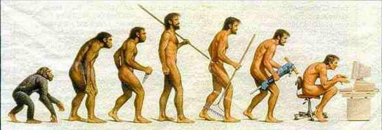 OCR1 evolution.PNG